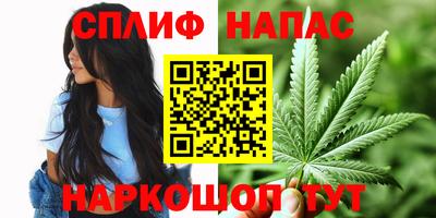 эйфоретик Краснодар