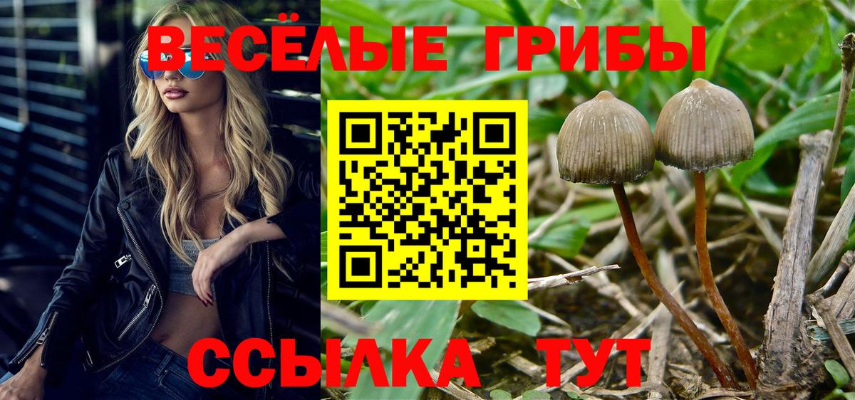Галлюциногенные грибы Magic Shrooms  Вход с VPN  Касимов  Галлюциногенные грибы GOLDEN TEACHER 